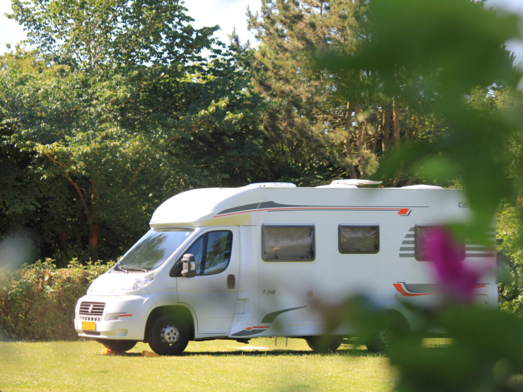 Feriebyens Camping i Rødvig | Camping tæt på strand, skov og klint | Naturskønne omgivelser og dyb ro